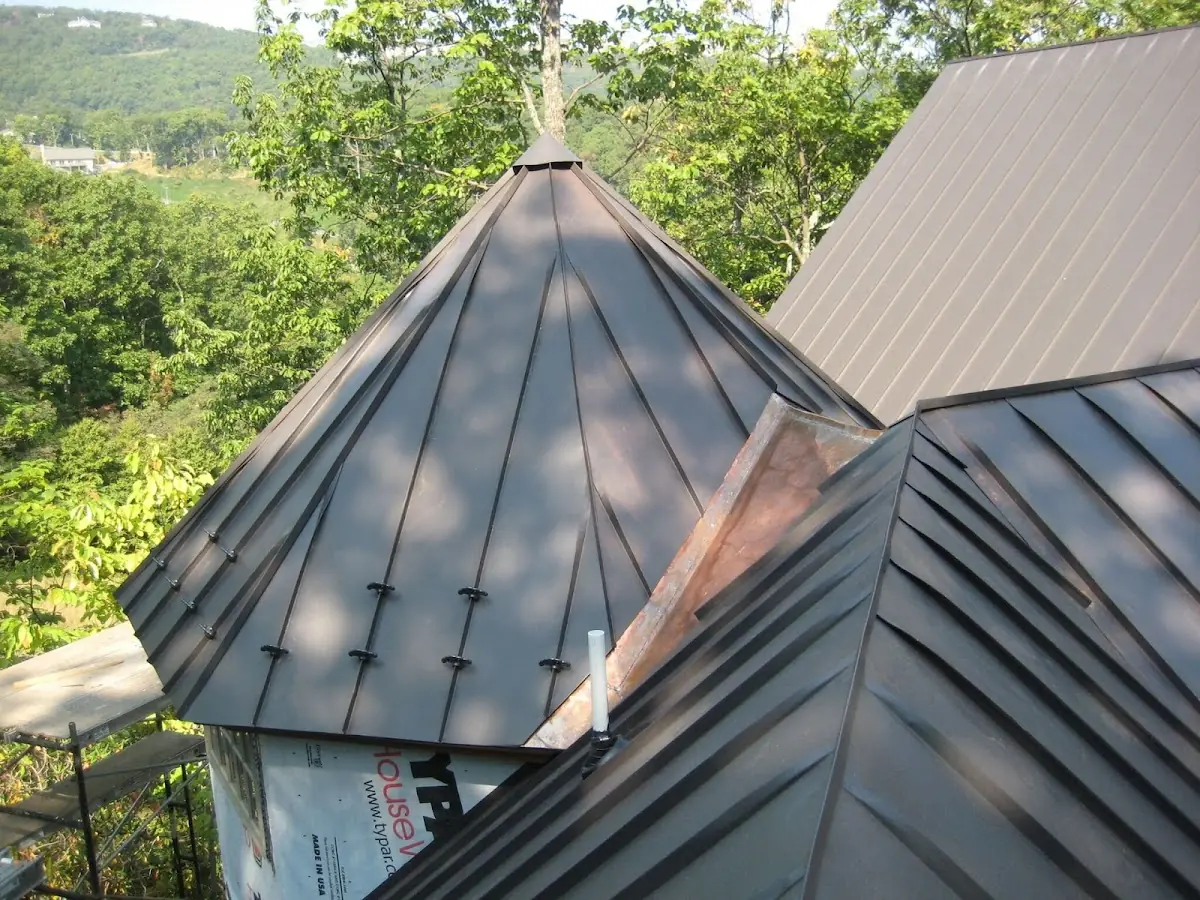 Professional Gutter Cleaning by Craftsman Roofing in Carroll